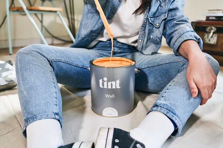 Shop Paint