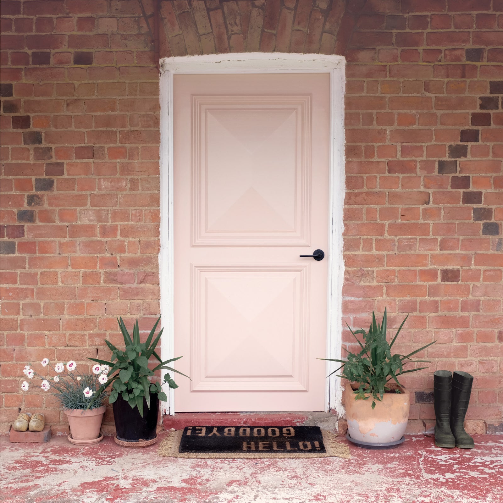 Dawn Patrol - Image 10