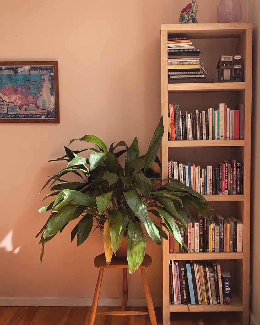 Dawn Patrol - Image 13