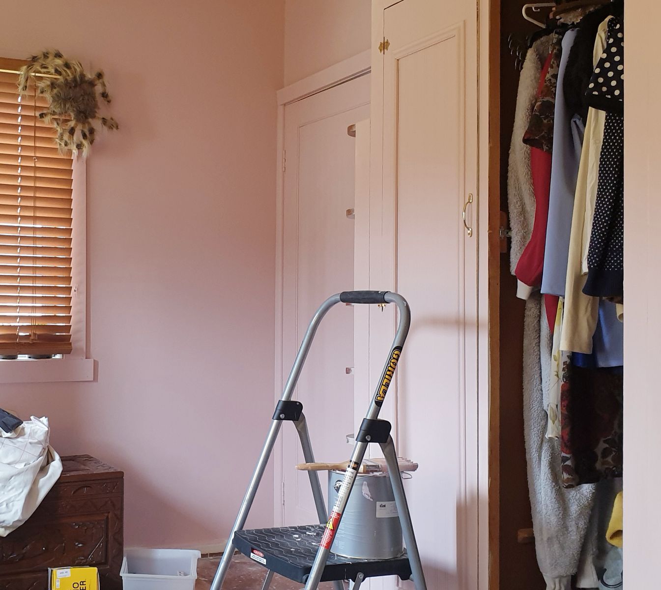 Settle Petal - Image 9