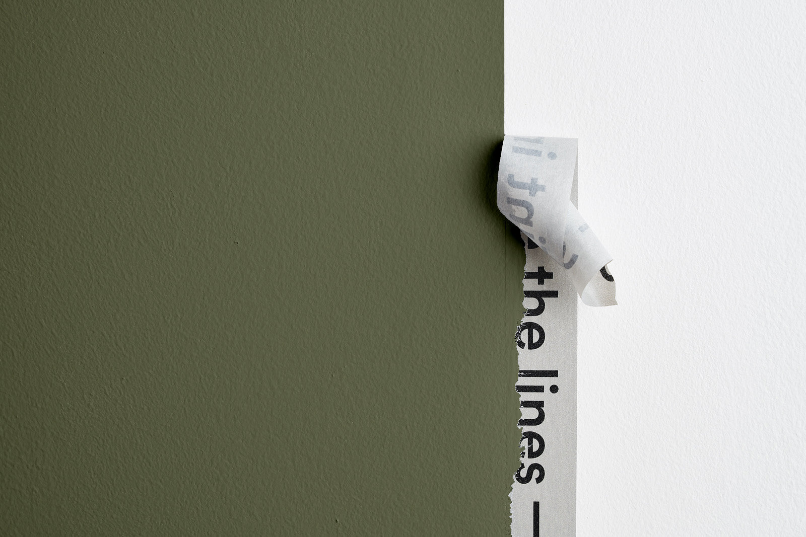 Wild Thing - Image 3