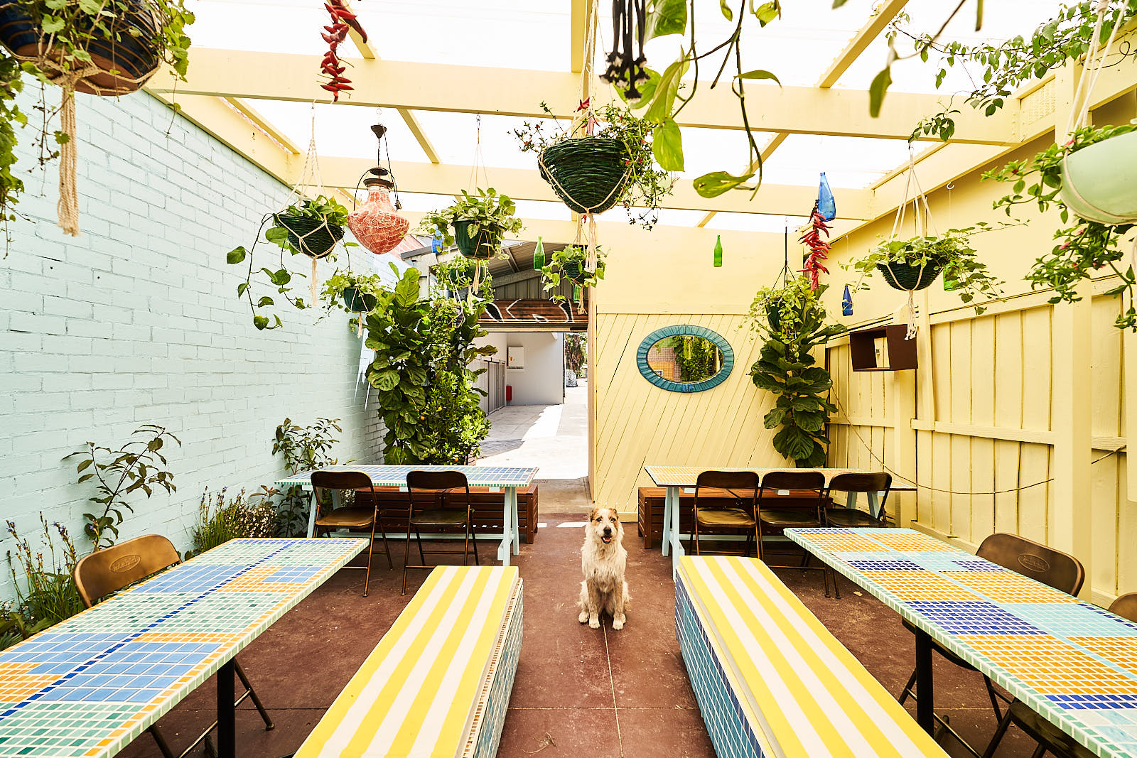 We Met in Spring - Image 5