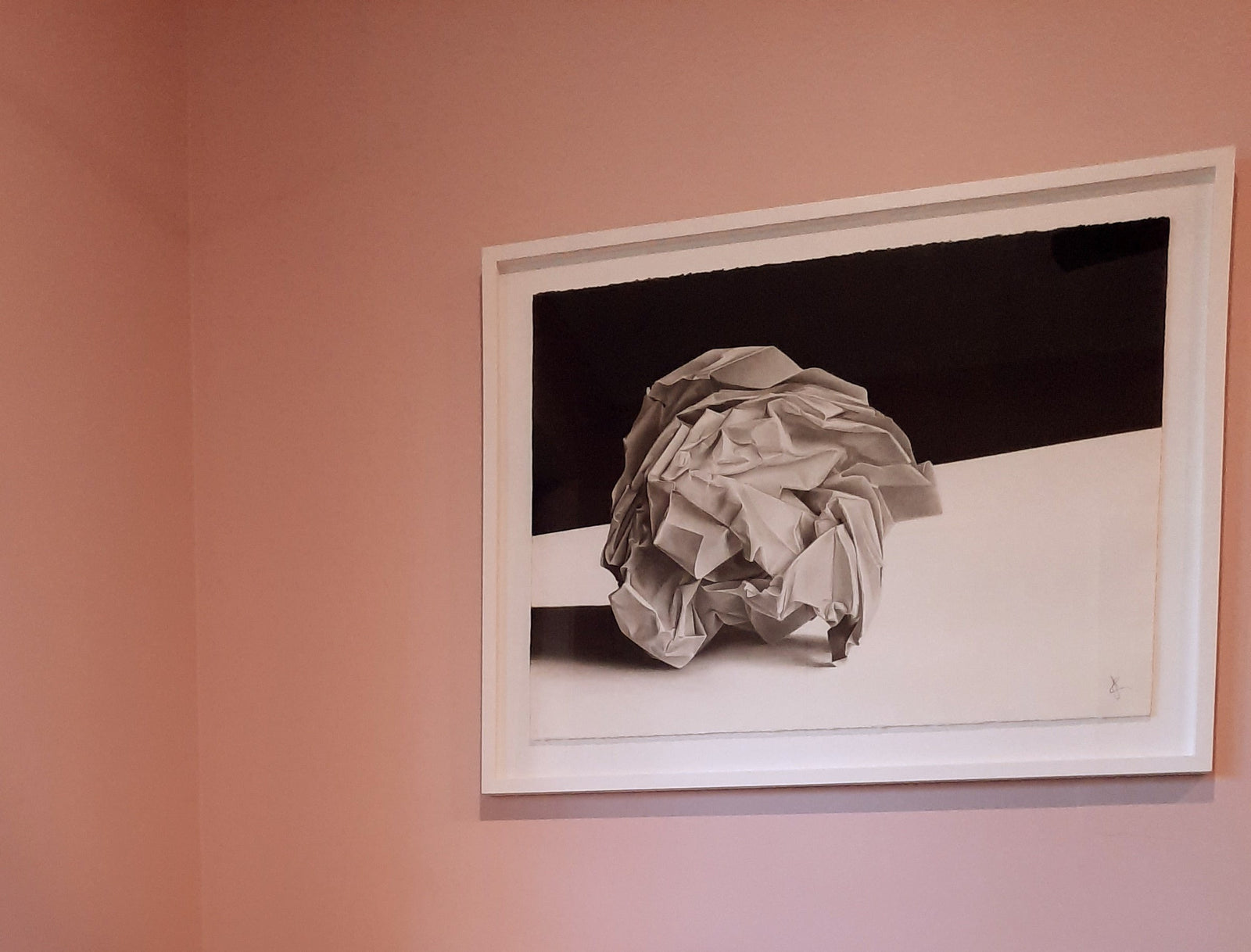 Settle Petal - Image 12